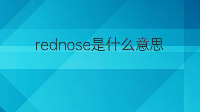 rednose是什么意思 rednose的中文翻译、读音、例句