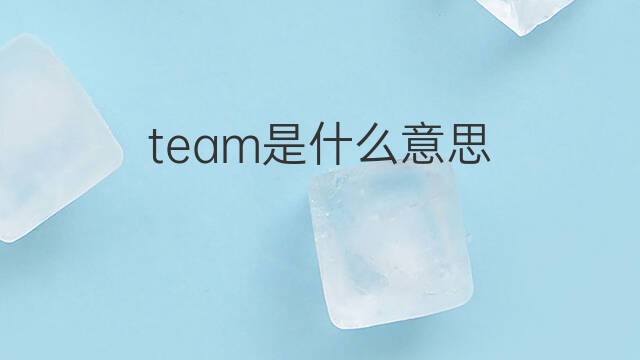 team是什么意思 team的中文翻译、读音、例句