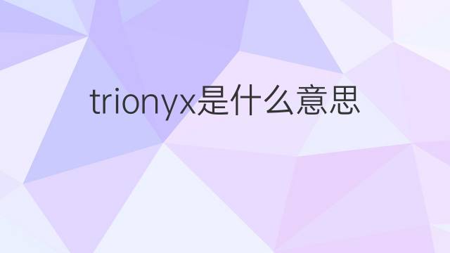trionyx是什么意思 trionyx的中文翻译、读音、例句