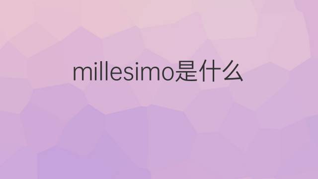 millesimo是什么意思 millesimo的中文翻译、读音、例句