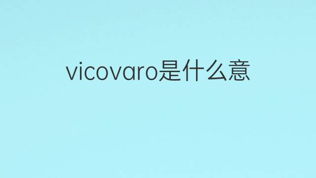 vicovaro是什么意思 vicovaro的中文翻译、读音、例句
