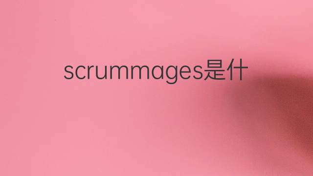 scrummages是什么意思 scrummages的中文翻译、读音、例句
