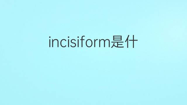 incisiform是什么意思 incisiform的中文翻译、读音、例句