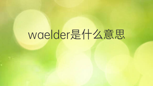 waelder是什么意思 waelder的中文翻译、读音、例句