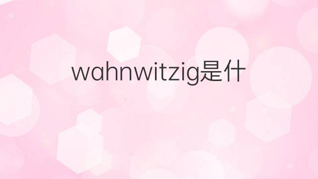 wahnwitzig是什么意思 wahnwitzig的中文翻译、读音、例句