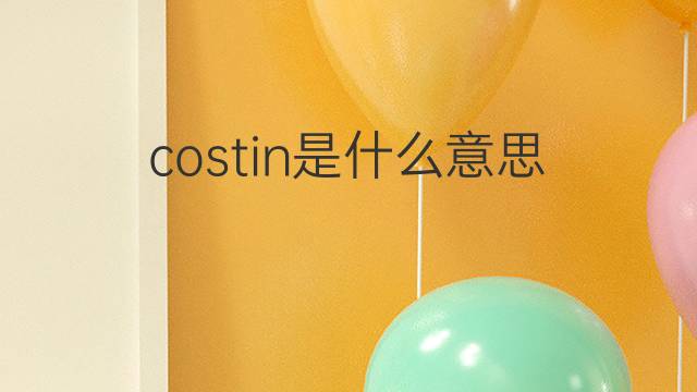 costin是什么意思 英文名costin的翻译、发音、来源