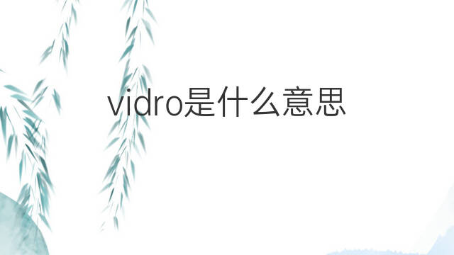 vidro是什么意思 vidro的中文翻译、读音、例句