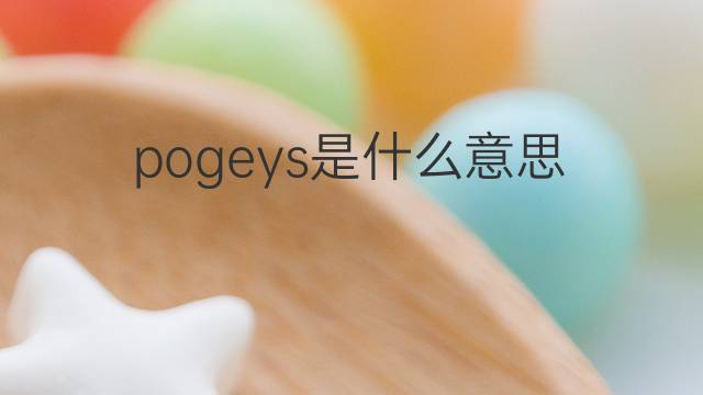 pogeys是什么意思 pogeys的中文翻译、读音、例句