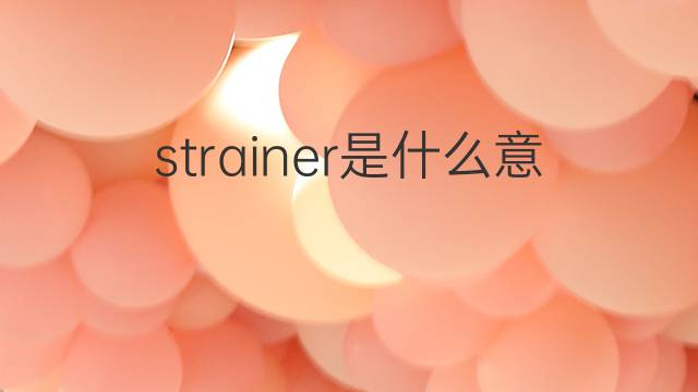 strainer是什么意思 strainer的中文翻译、读音、例句