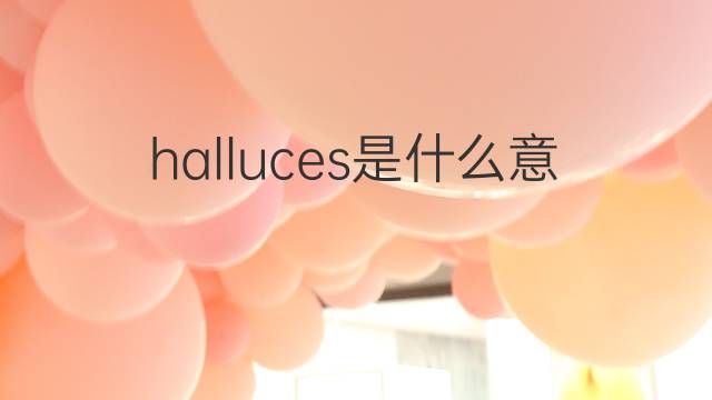 halluces是什么意思 halluces的中文翻译、读音、例句