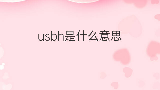 usbh是什么意思 usbh的中文翻译、读音、例句