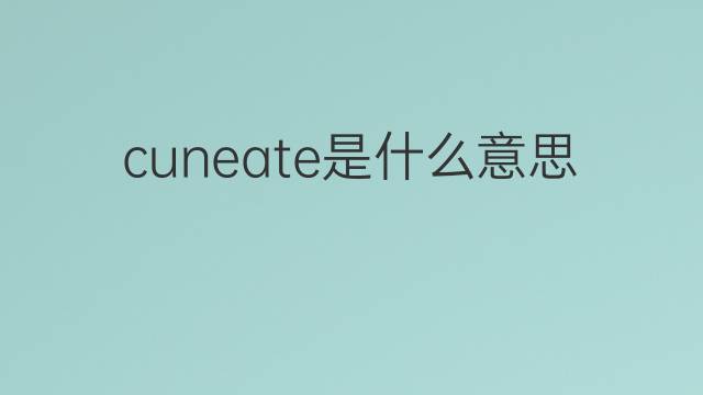 cuneate是什么意思 cuneate的中文翻译、读音、例句