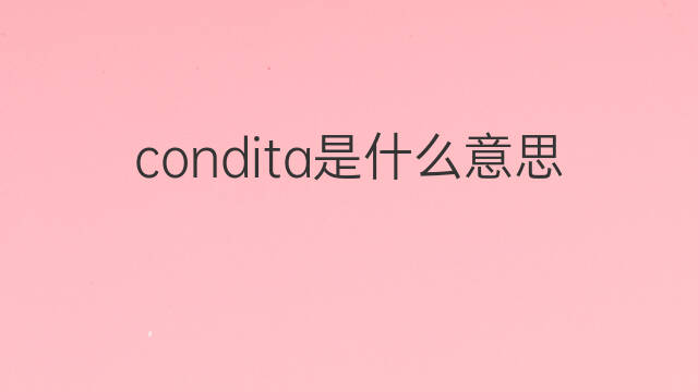 condita是什么意思 condita的中文翻译、读音、例句