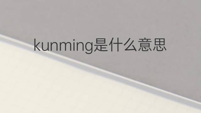 kunming是什么意思 kunming的中文翻译、读音、例句