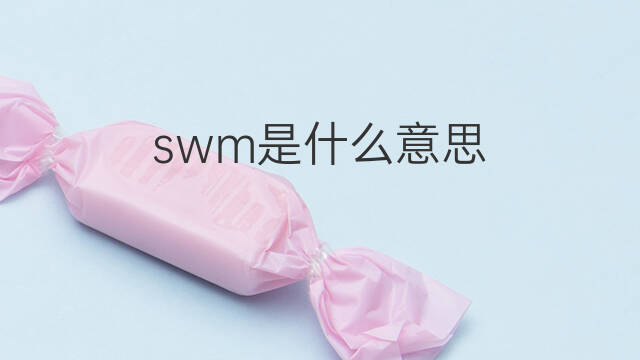swm是什么意思 swm的中文翻译、读音、例句