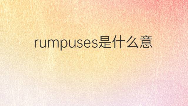 rumpuses是什么意思 rumpuses的中文翻译、读音、例句