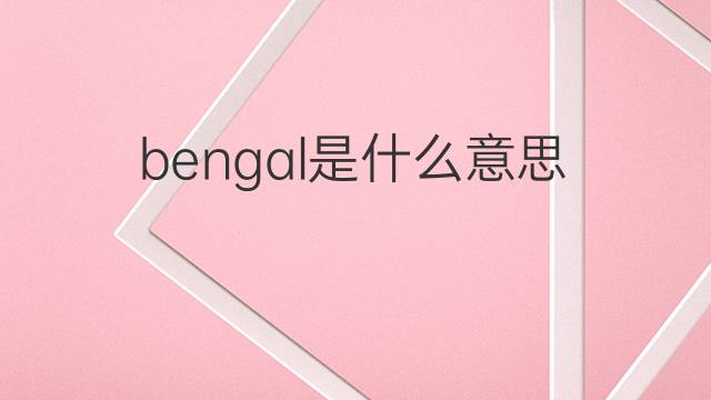 bengal是什么意思 bengal的中文翻译、读音、例句