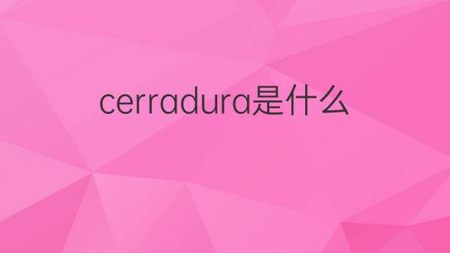 cerradura是什么意思 cerradura的中文翻译、读音、例句