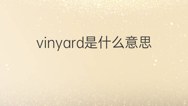 vinyard是什么意思 vinyard的中文翻译、读音、例句