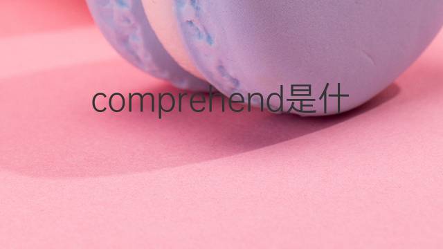 comprehend是什么意思 comprehend的中文翻译、读音、例句