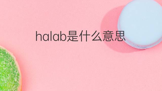 halab是什么意思 halab的中文翻译、读音、例句