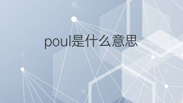 poul是什么意思 poul的中文翻译、读音、例句
