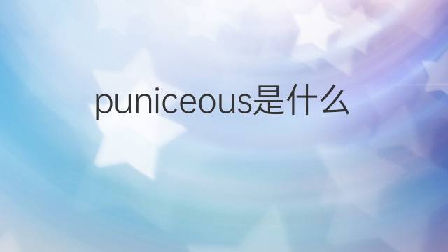 puniceous是什么意思 puniceous的中文翻译、读音、例句