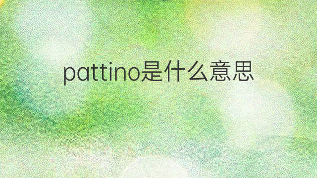 pattino是什么意思 pattino的翻译、读音、例句、中文解释