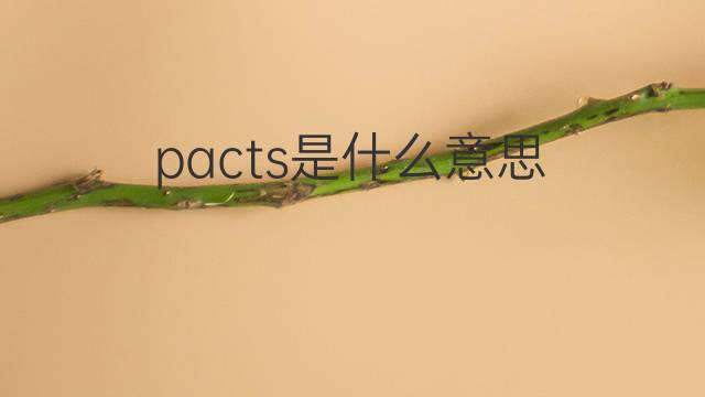 pacts是什么意思 pacts的中文翻译、读音、例句