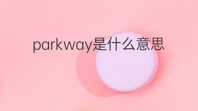 parkway是什么意思 parkway的中文翻译、读音、例句