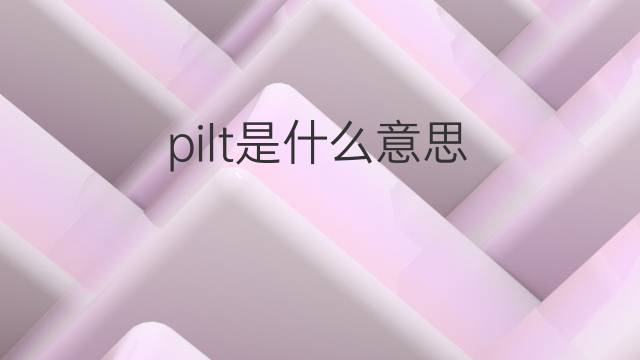 pilt是什么意思 pilt的中文翻译、读音、例句