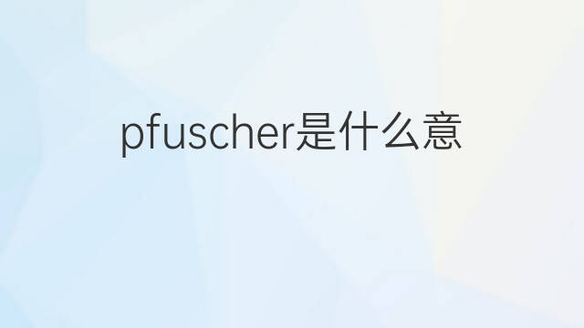 pfuscher是什么意思 pfuscher的中文翻译、读音、例句