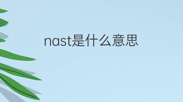 nast是什么意思 nast的中文翻译、读音、例句