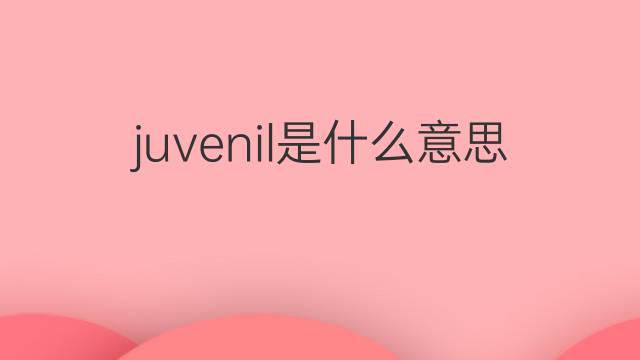 juvenil是什么意思 juvenil的中文翻译、读音、例句