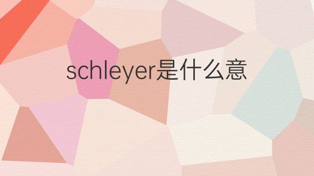 schleyer是什么意思 schleyer的中文翻译、读音、例句