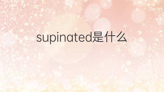 supinated是什么意思 supinated的中文翻译、读音、例句