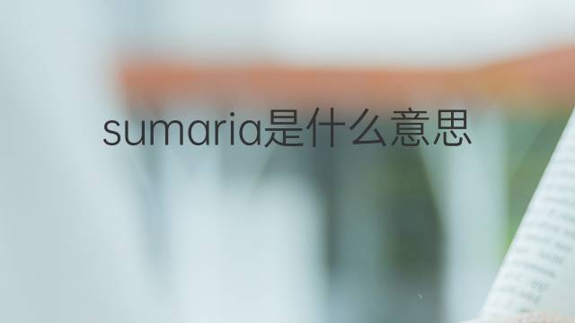 sumaria是什么意思 sumaria的中文翻译、读音、例句