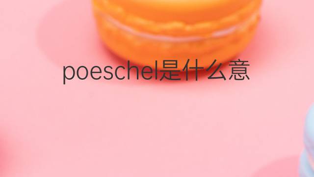 poeschel是什么意思 poeschel的中文翻译、读音、例句