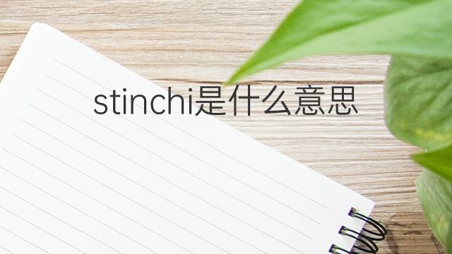 stinchi是什么意思 stinchi的翻译、读音、例句、中文解释