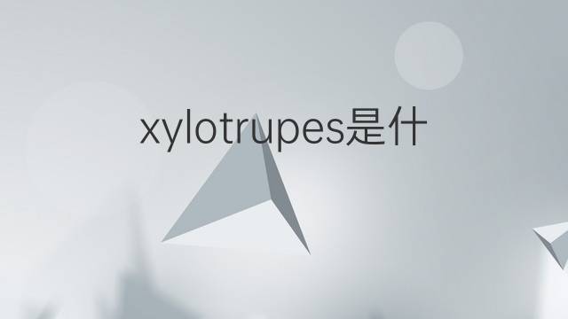 xylotrupes是什么意思 xylotrupes的中文翻译、读音、例句