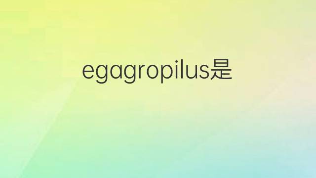 egagropilus是什么意思 egagropilus的翻译、读音、例句、中文解释