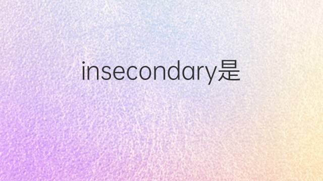 insecondary是什么意思 insecondary的中文翻译、读音、例句