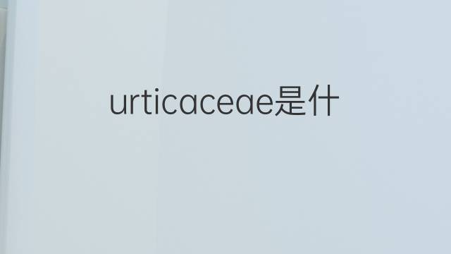 urticaceae是什么意思 urticaceae的翻译、读音、例句、中文解释