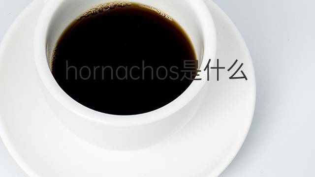 hornachos是什么意思 hornachos的中文翻译、读音、例句
