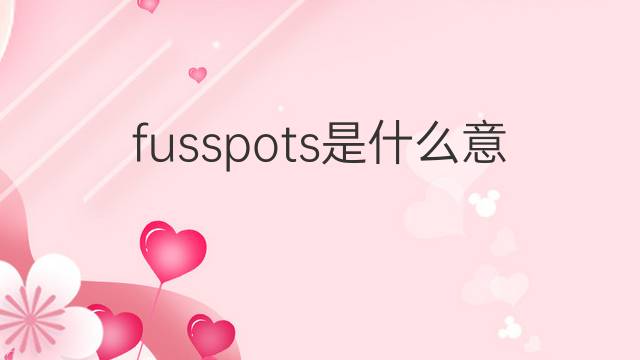 fusspots是什么意思 fusspots的中文翻译、读音、例句