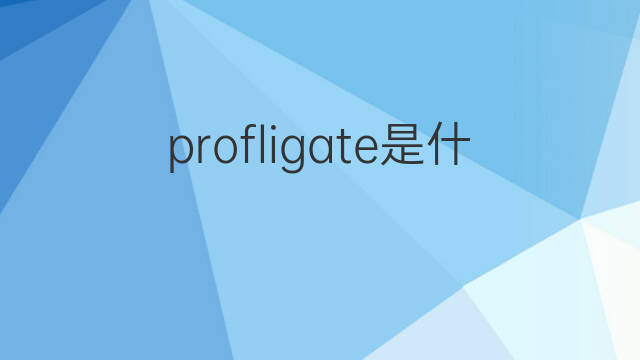profligate是什么意思 profligate的中文翻译、读音、例句