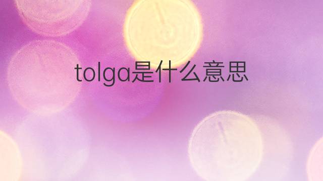 tolga是什么意思 tolga的中文翻译、读音、例句