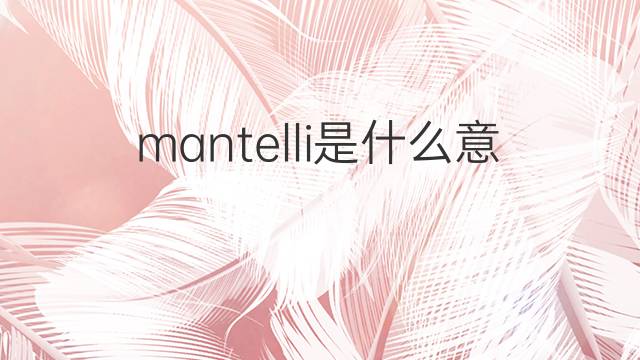mantelli是什么意思 mantelli的中文翻译、读音、例句