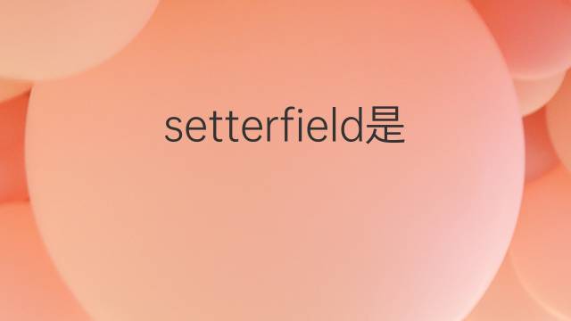 setterfield是什么意思 setterfield的中文翻译、读音、例句