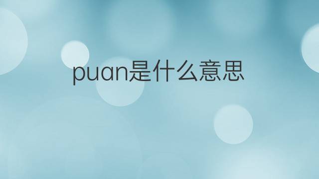 puan是什么意思 puan的中文翻译、读音、例句